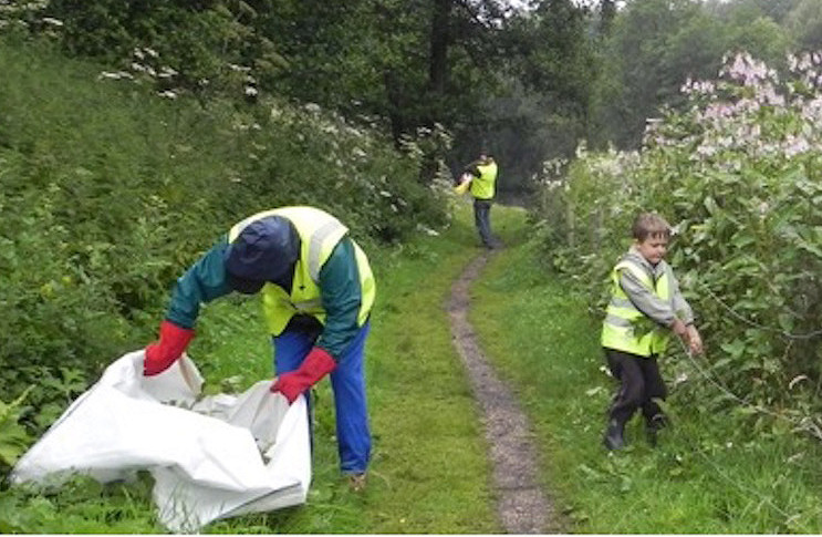 Volunteers tackle a plant infestation that is threatening to take over the waterway