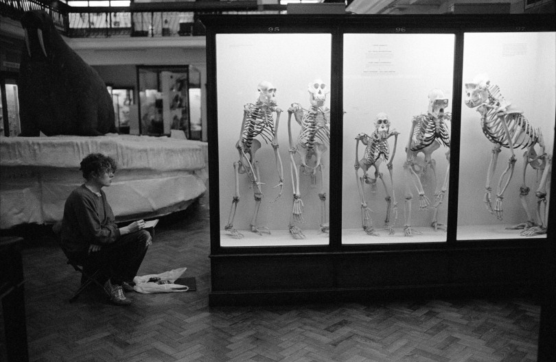 ‘Evolution Explored, A Magnum Photos Exhibition’ coincides with International Darwin Day on 12th February and commemorates Magnum Photos’ 70th anniversary