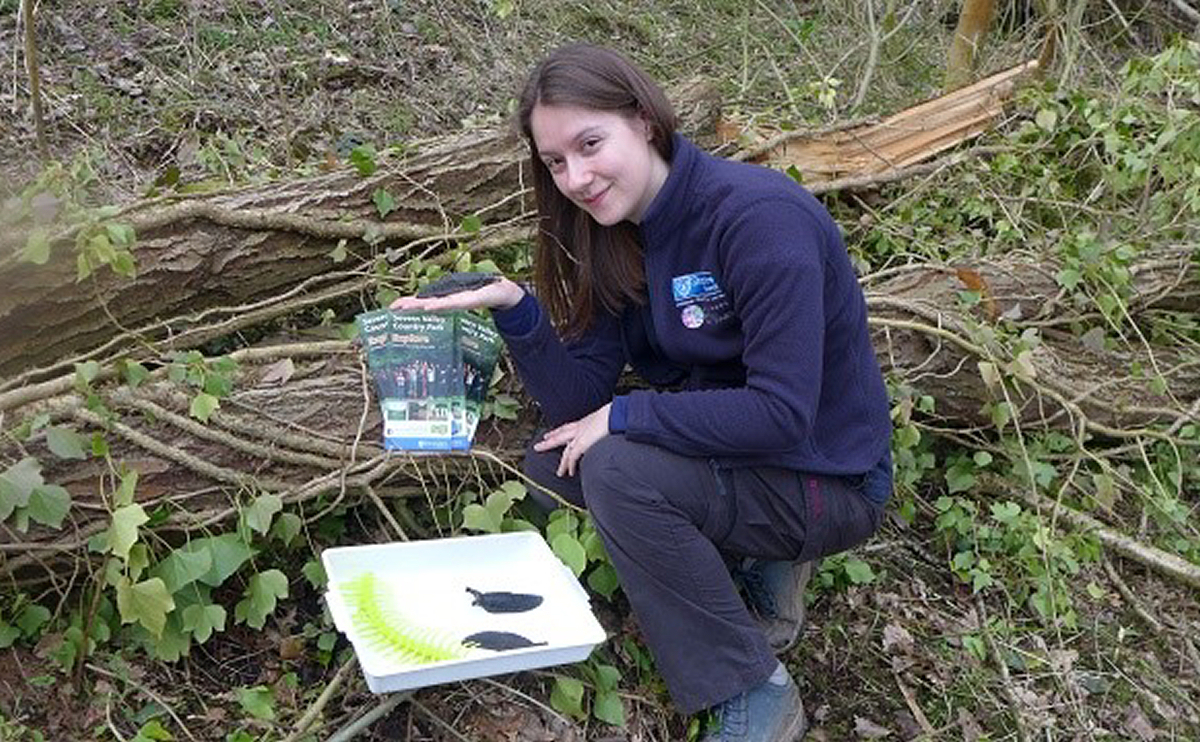 Assistant ranger Sarah Fortune getting ready for all the events at the park
