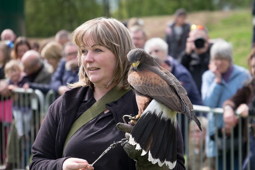 RAF Museum Cosford will have some feathered friends flying in to meet with visitors