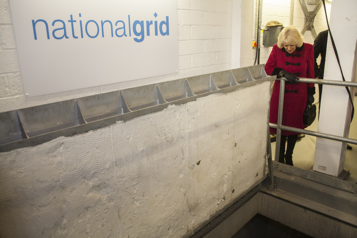 The rapid opening stretcher access cover designed and manufactured by FSP is pictured at the opening of the service shaft being inspected by HRH The Duchess of Cornwall. Photo: National Grid