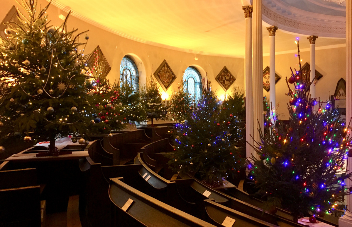 Over sixty trees are on display at the year's festival