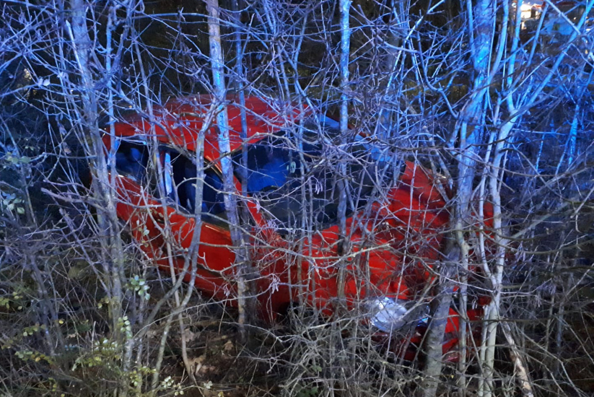 A car left the A442 in Telford last night ending up in trees. Photo: @TelfordPatrol