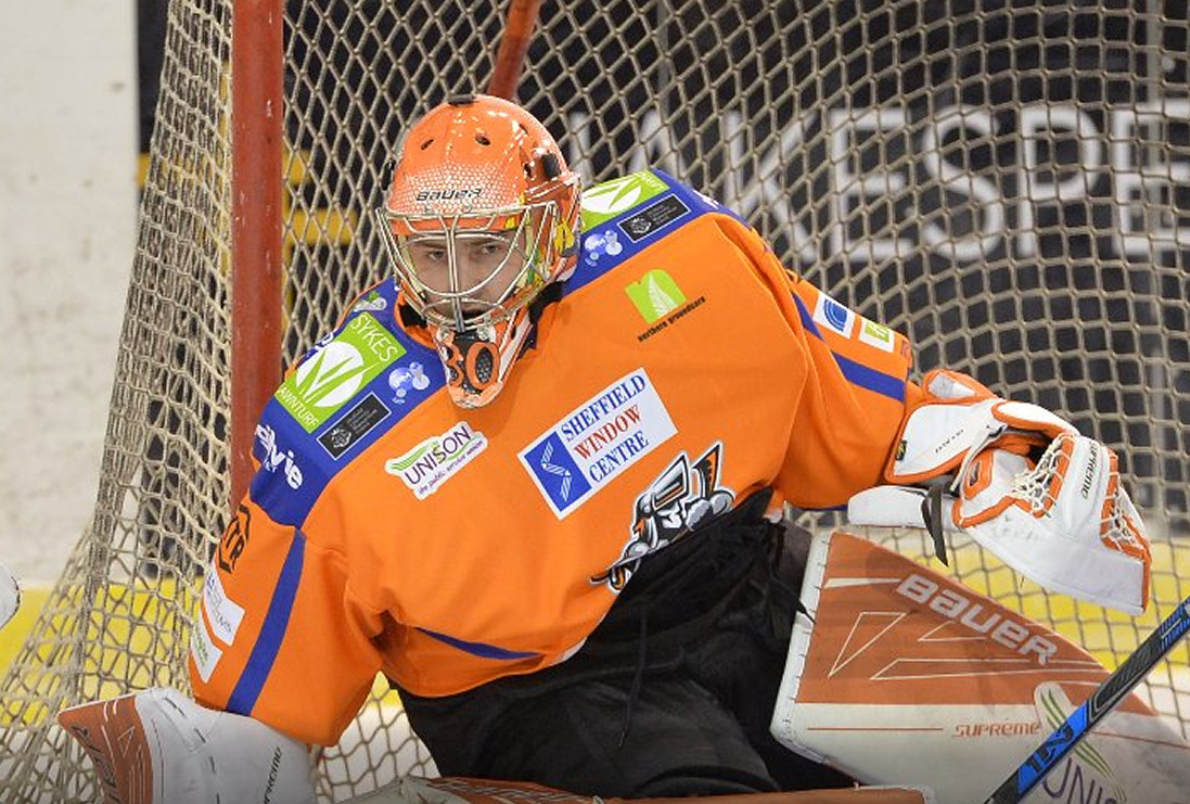 Telford Tigers reveal second summer signing