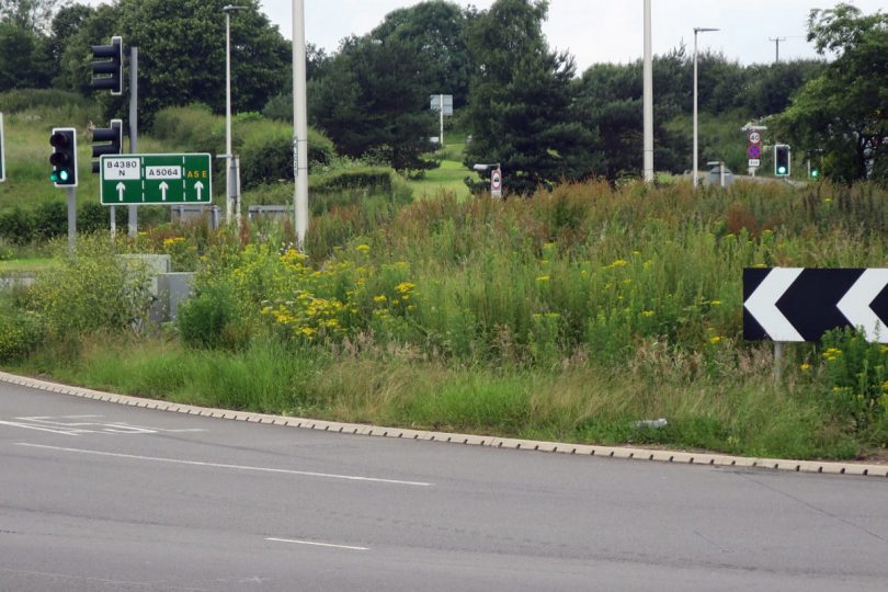 Emstrey roundabout has become overgrown with weeds