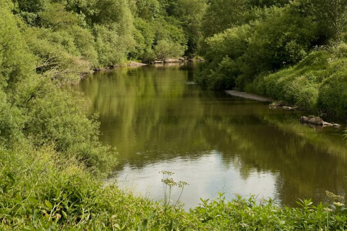 Severn Valley Country Park is the ideal place for families to experience the beautiful River Severn landscape