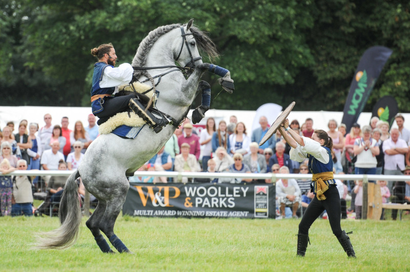 Atkinson Action Horses are one of the top equine performers at events across the country 