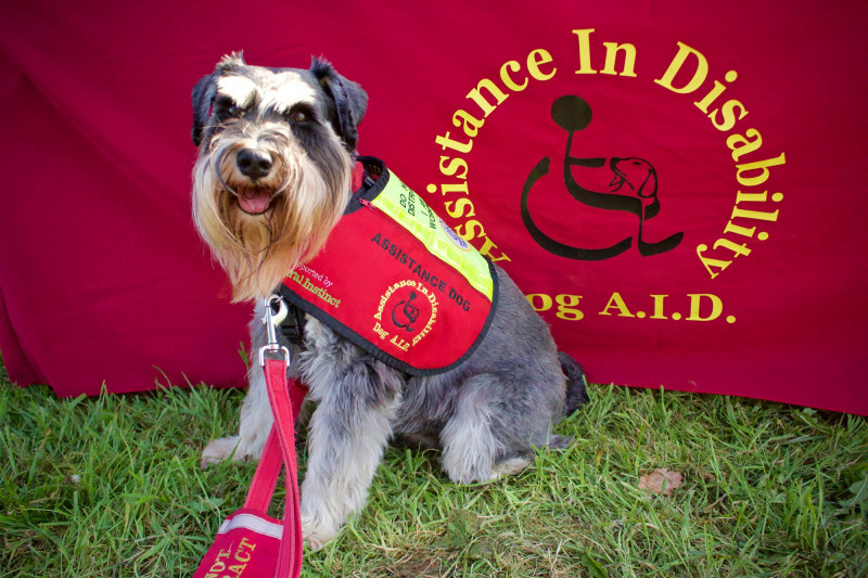 Shrewsbury-based charity Dog A.I.D. is one of the five good causes that will receive proceeds from the show