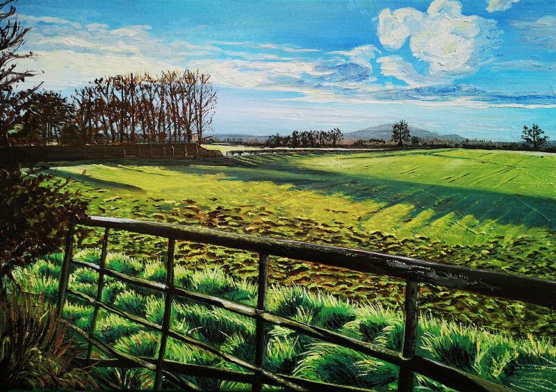 Entries submitted for this year’s competition include Shropshire Walk (Walters Upton) by Georgie Johnson (@Georgiejart on Instagram)
