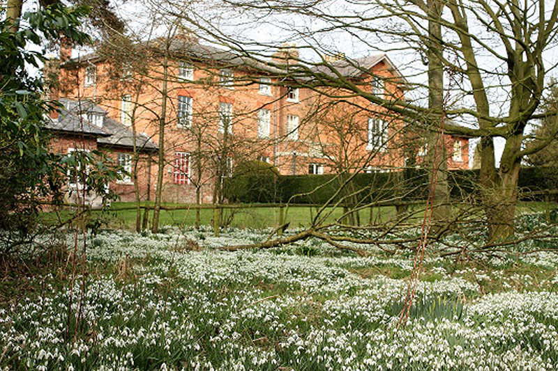 Snowdrops at Winsley Hall