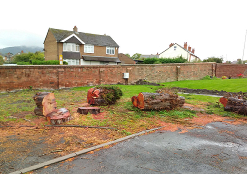 The scene at The Priory Nursing Home after the trees were cut down