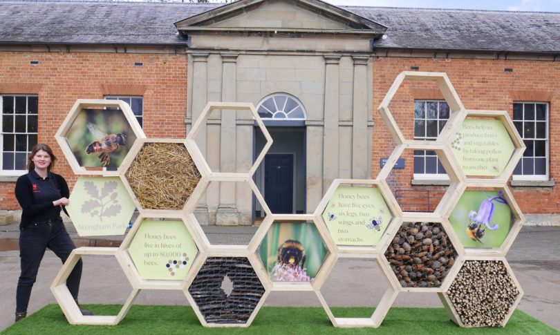 Visitor Experience Officer Victoria Bounds putting the finishing touches to the bee display in the Stables Courtyard at Attingham Park. Photo: National Trust