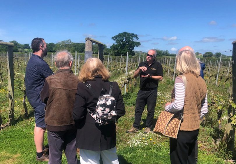 Russell Cooke guiding a vineyard tour