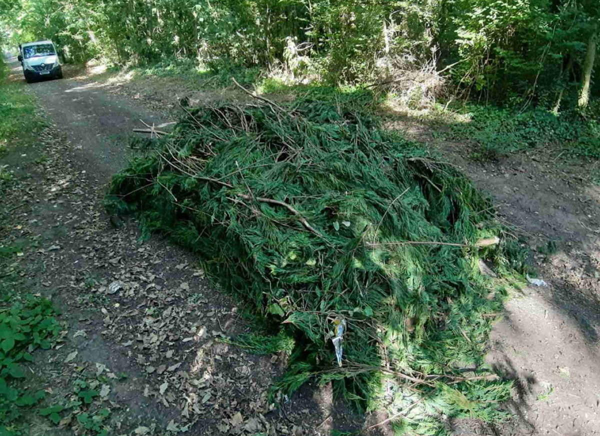 Flytipper pleads guilty to dumping tree waste in Telford