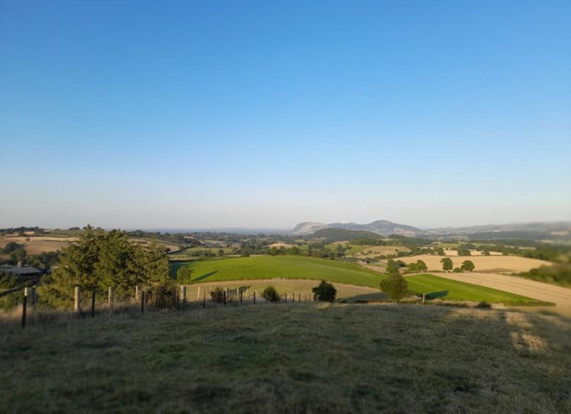 A green field in Powys during last year’s drought, which had previously been treated with biochar. Photo: Shropshire Council