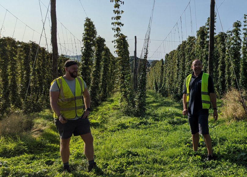 Founder Nick Davis at a local hop yard on Green Hop brewing day