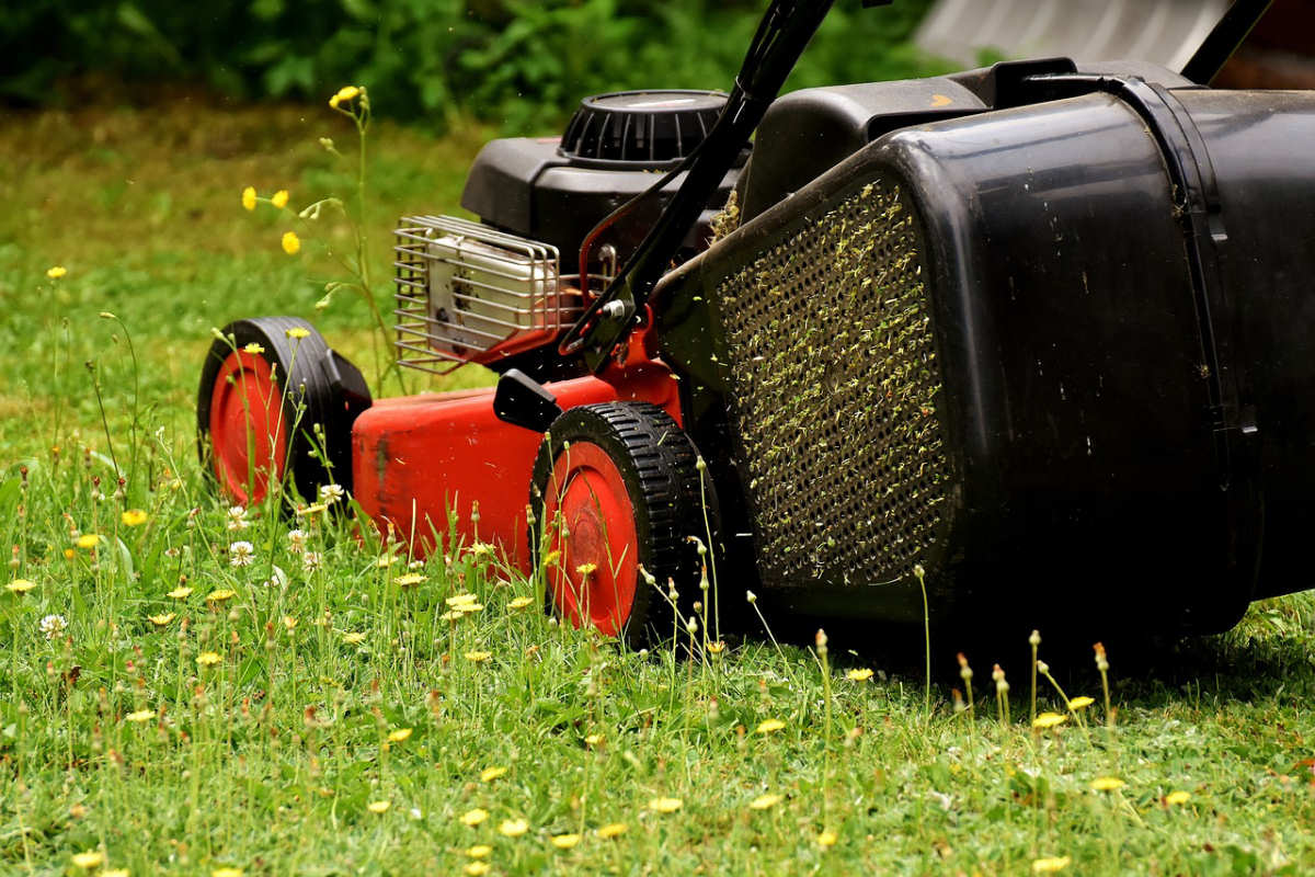 Telford & Wrekin Council say they have no plans to charge for green waste