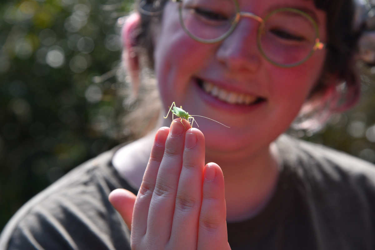 The Field Studies Council is one of a number of key organisations helping to deliver the Generation Green 2 project