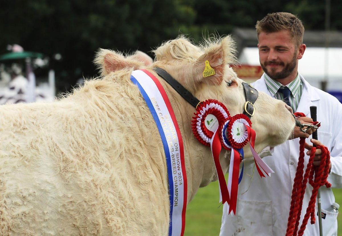 Burwarton Show's Livestock Champion of Champions will be crowned in the Main Ring