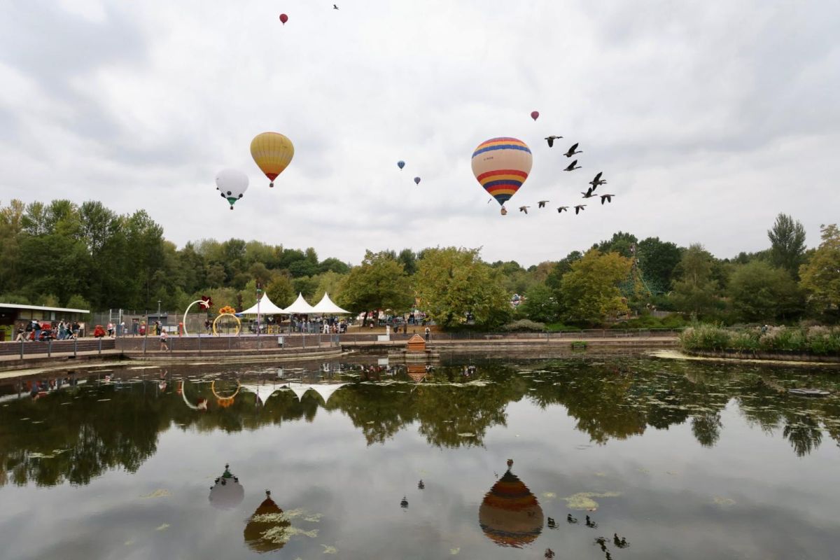 Balloons over Telford Town Park